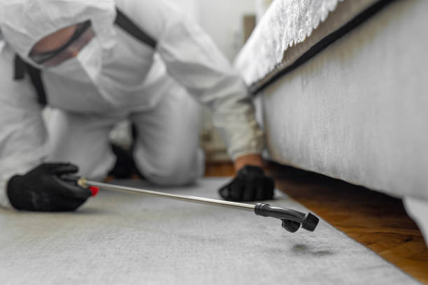 Professional Cockroach Control technician working in Bee Ridge, FL
